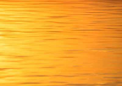 liquid gold - golden - water - gold - liquid - jesolo - golden hour - creative nature