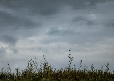 in reality just water - Waterreflection - water - reflection