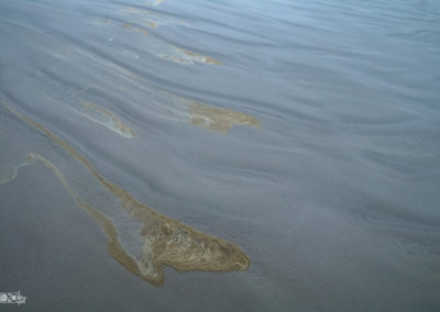 Sea - Foam - Beach - Crative - Water - Saltwater