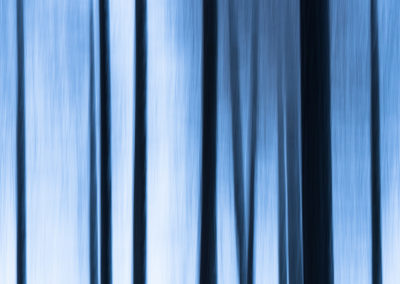 trippy, forest, art