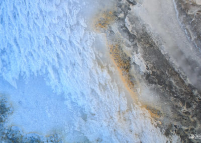 Ice - Pollen - Frozen - Winter - Creative - Nature