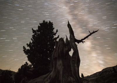 nightsky, sennes, dolomites, miklyway, love, heart, tree, night