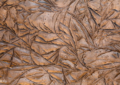 Frozen - Dirt - Beautiful - Nature - Naturephotography