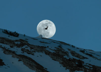 into te moon - sunset - moonrise - fullmoon - flat 3 - japan grab - blue hour