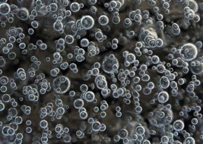 eis - bubbles - macro - frozen