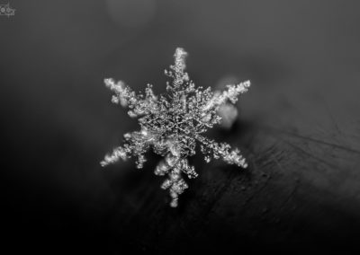 snow - snowflake - water - seis - seiser alm