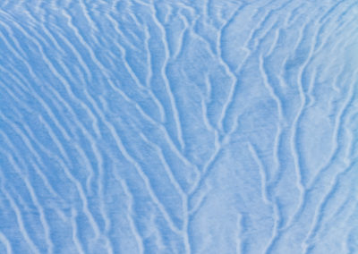 Snow - Snow veins - Rain - Winter - Spring - Nature