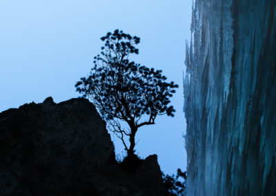 upside down gravity - tree - eis - frozen waterfall